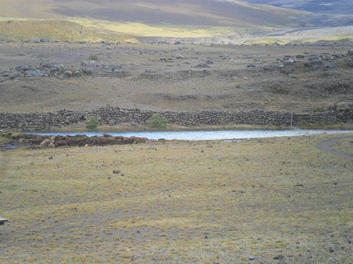 Machachi Hotel Tambopaxi מראה חיצוני תמונה